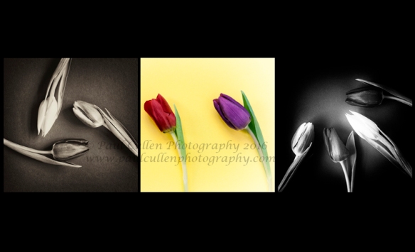 Triptych Tulips