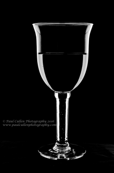 Ornate wine glass - in monochrome.
